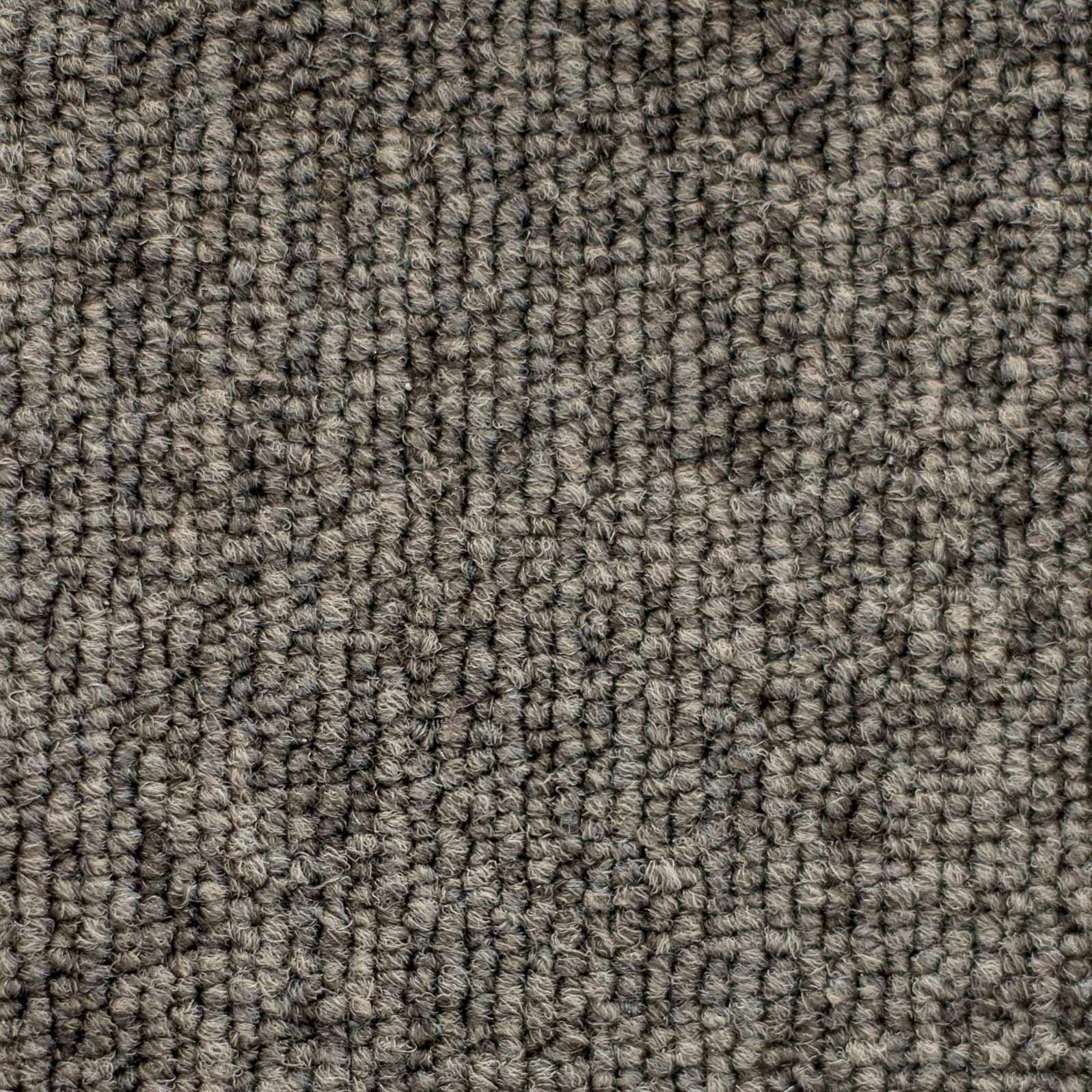 Ковролин "Зартекс" Daily 68 коричневый (4м) — купить в Адлере