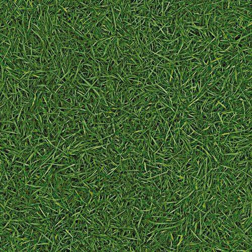 Линолеум бытовой "IVC" Neo Grass 25 (4м) — купить в Адлере