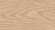 Плинтус "Идеал" пластиковый Элит Дуб Сафари (2500*22*67 мм) — купить в Адлере