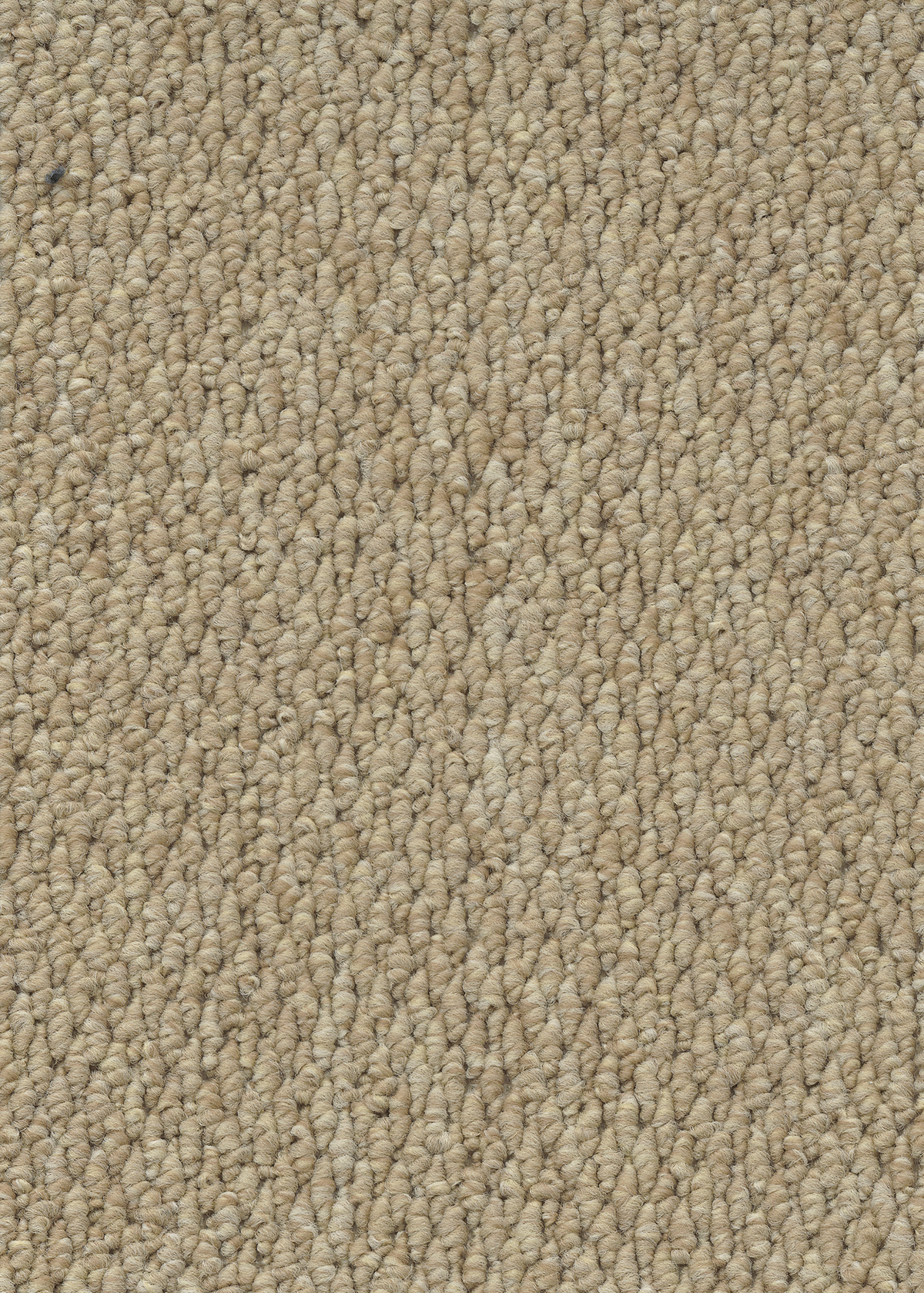 Ковровое покрытие "Bonkeel" Skye 50 (ширина 4м) — купить в Адлере